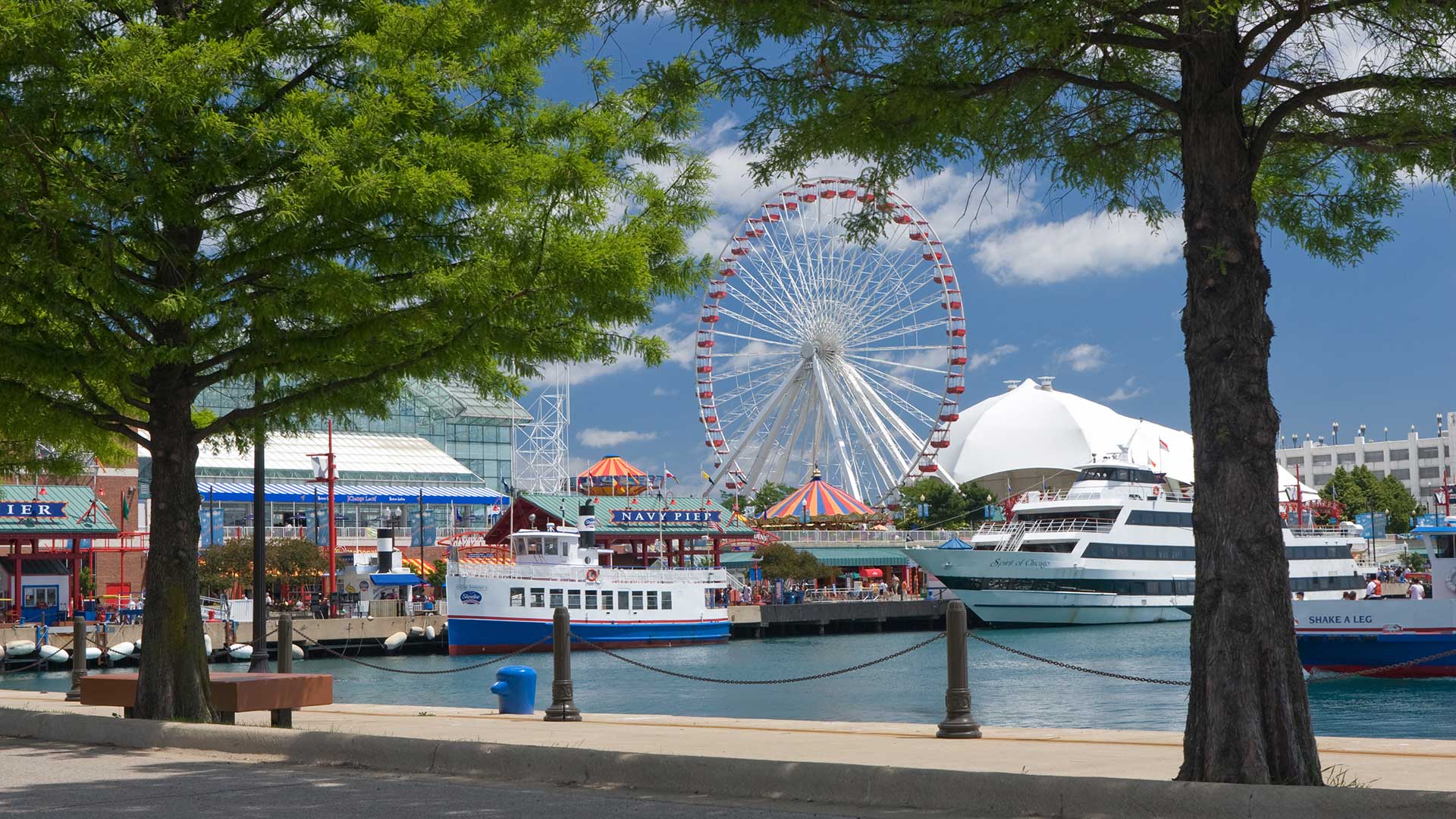 Looking at Chicago's Navy Pier from a sidewalk along the shore between two trees. The Ferris Wheel is seen centered on the pier in the distance. There are exposition structures on both sides and large boats in the water all around.